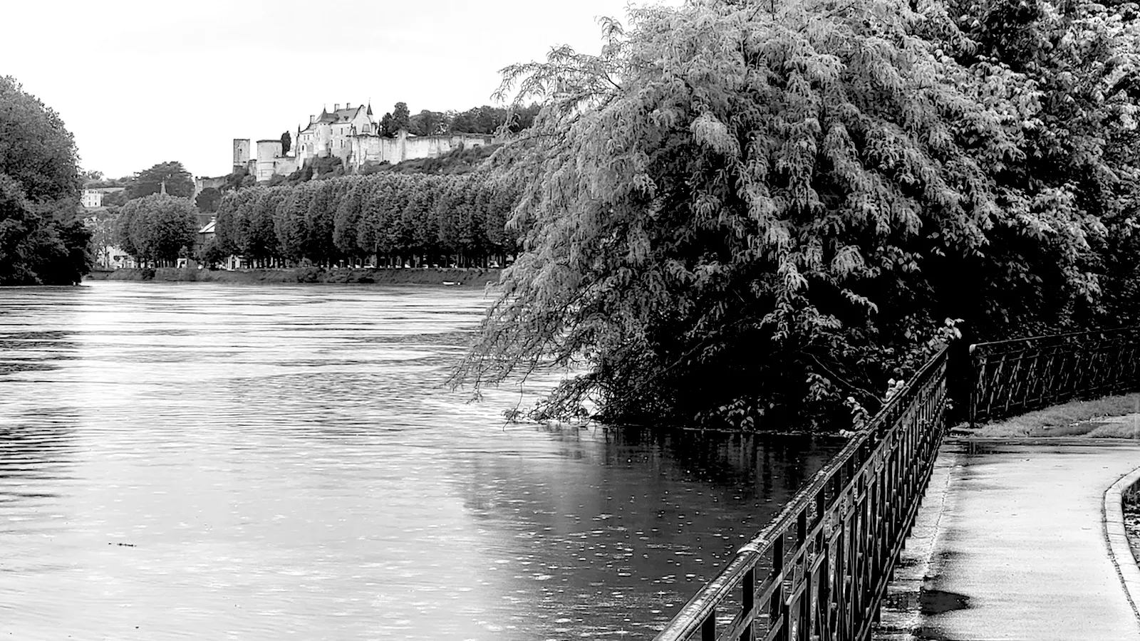 La Vienne et la forteresse royale